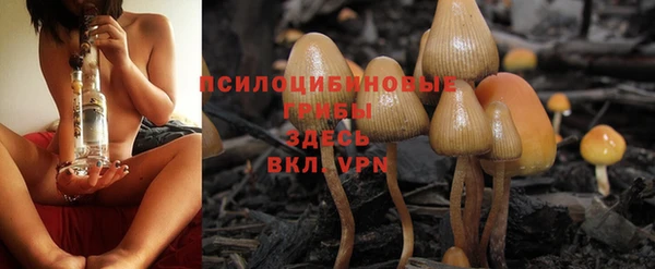 mix Алексин