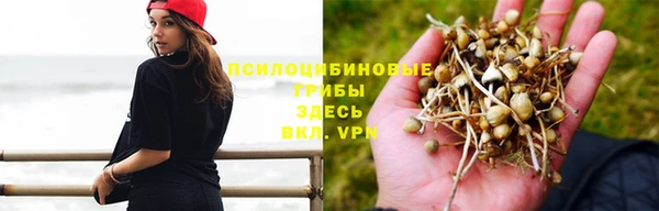прущий лед Алзамай