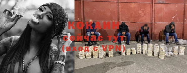 прущий лед Алзамай