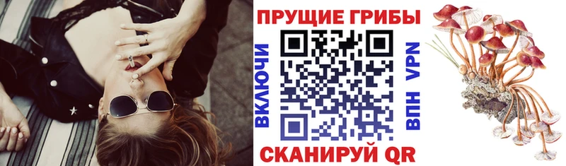 OMG ссылки  Кемь  Галлюциногенные грибы прущие грибы 